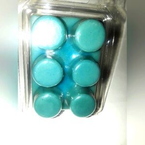 Hand Crafted Eucalyptus waxmelt Rounds